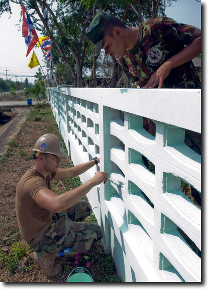 Fence Painting